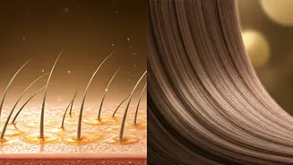 Scalp vs. Strand Oiling: Unlocking Your Healthiest Hair Growth Potential