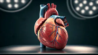 Unveiling Hidden Risks: Heart Disease Awareness