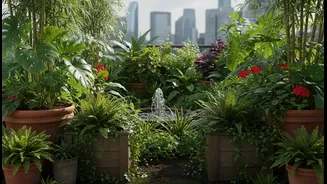 Terrace Gardening Trends Show How Green Spaces Can Reduce Heat Around City Homes