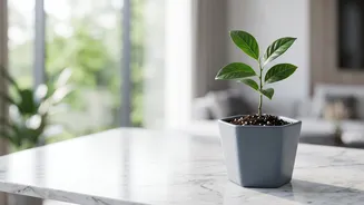 How Market Exposure Makes NPS Different From Traditional EPF Savings