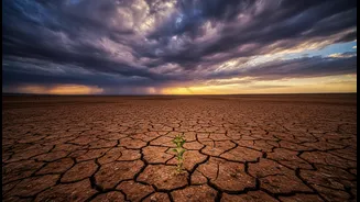 El Niño And Drought: Why The Story Isn't Always So Simple