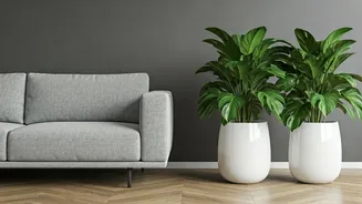 Elevate Your Living Room: The Magic of Twin Planters Beside Your Sofa