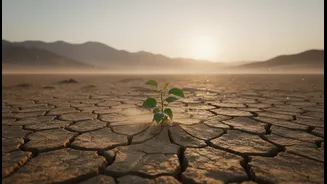The El Niño Challenge Goes Beyond Simple Solutions