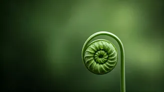 Unlock Youthful Aging: 6 Essential Rules from a Longevity Expert