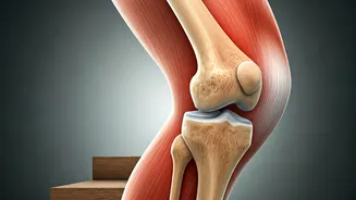 Stairway to Sore Knees? Unraveling Why Stairs Hurt But Walking Doesn't
