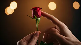 Related Stories banner