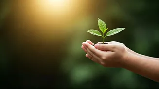 Related Stories banner