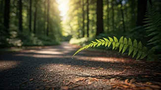Walking Yoga Brings Mindfulness To Everyday Movement