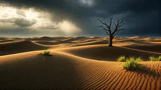 Sam Dunes Make Monsoon Travel Feel Different