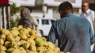 Why Japan has suspended Indian mango imports