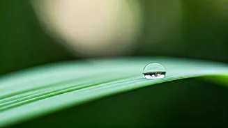 8 Habits for Living Mindfully: Embrace the Present Moment with Ease