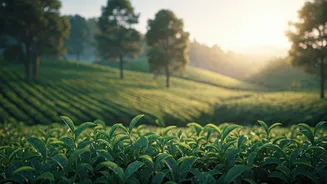 April Escapes: Top Indian Destinations to Visit Before the Summer Heat