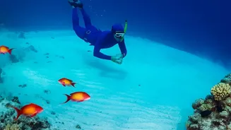 How underwater experiences are giving domestic holidays a fresh reason to travel