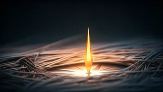 Sadhguru's Wisdom: Focus Your Life on What Truly Matters, Today!