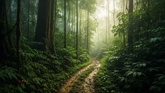 Kudremukh Hidden Jungle Passes Offer Mind Blowing Monsoon Trek Experiences