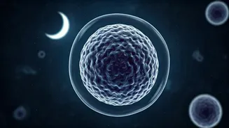 Sleep Deprivation: The Shocking 72% Cancer Risk Link You Can't Afford to Ignore