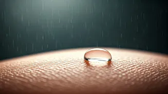 Rainy Skin Needs Less Grease, More Balance
