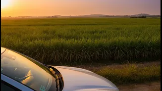 How E20-compatible mass-market cars support local ethanol manufacturing farmers across states