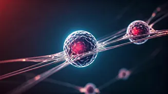 Unlocking Unified Cancer Therapies: A New Platform Targets Shared Cellular Weaknesses
