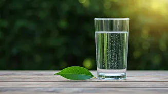 Clean Water Beats Fancy Wellness Advice In Monsoon