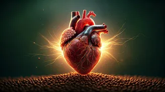 Unlock a Healthier Heart: 5 Powerful Benefits of Coriander Seeds