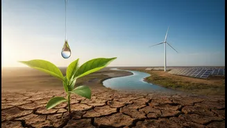 State of India's Environment 2026: A Clear Decode for Young Indian Readers