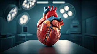 5 Science-Backed Paths to Longevity: Live Longer, Better!