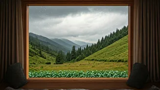 Cosy Views Are Driving Monsoon Homestay Bookings