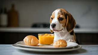 Viral 'Gujju Puppy' Video: Aamras Puri for Dogs Sparks Online Debate Among Pet Lovers