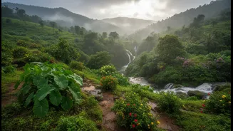 Monsoon Greens Give Teej A Perfect Travel Hook