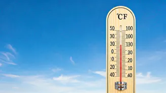 Ahmedabad's Mild Winter: Temperatures Stable at 14°C