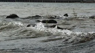 Kodagu downpours push KRS dam above 100 feet in Karnataka