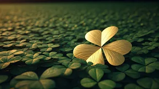 November 2025: Zodiacs Blessed by Luck