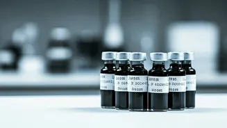 Ink Investigation: Maharashtra Election Commission Orders Tests