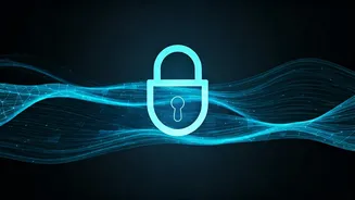 Fortifying Your Online Presence: Understanding Website Security Verifications