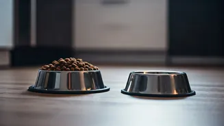 Pet Parents Are Choosing Cleaner Bowls Over Convenience