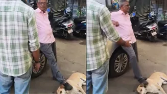 Related Stories banner