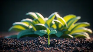 Boost Your Springtime Vigor: Natural Ways to Reclaim Your Energy