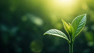 Unlocking Life's Joys: Jon Kabat-Zinn's Wisdom on Mindfulness, Love, and Compassion