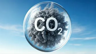CO2 Levels Surge, Climate Change Accelerates