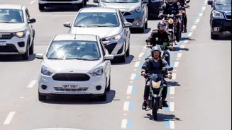 Faixa Azul é segura ou mais fatal? Pesquisas dividem opiniões