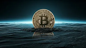 Bitcoin's Stability: Navigating the Crypto Market's Consolidation