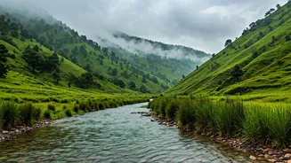 Rainy Getaways Need More Than Himachal Plans