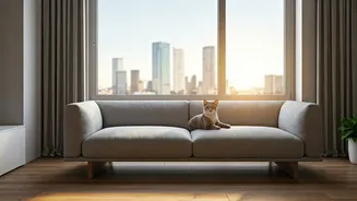 Why Mumbai Apartments Favor Cats Over Large Dog Breeds