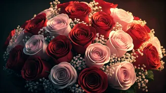 Express Your Love: 100 Heartfelt Valentine's Day 2026 Wishes, Quotes & Images