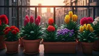 Flowers Appear Overnight After First Rains Hit Balcony Pots