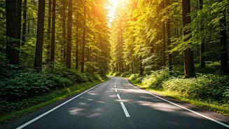 Less Planning Gives Travel Its Magic Back