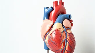 6 Simple Ways to Lower Blood Pressure