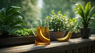 Ditch Chemicals: Spray Banana Skin Water For Beautiful Balconies