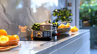 Bengaluru's Food Safety Push: What Restaurant Diners Should Know About Clean Kitchens